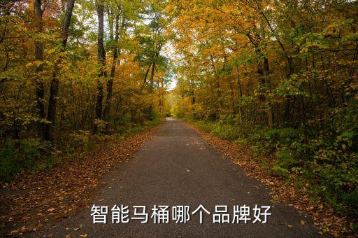  智能馬桶哪個(gè)品牌好