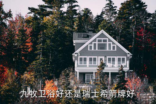 九牧衛(wèi)浴好還是瑞士希箭牌好