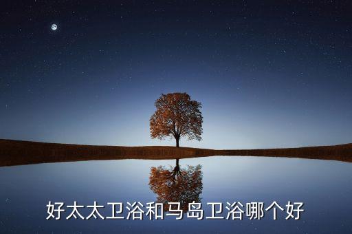 好太太衛(wèi)浴和馬島衛(wèi)浴哪個好
