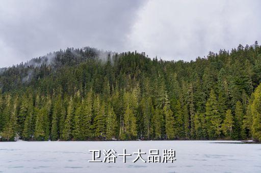  衛(wèi)浴十大品牌