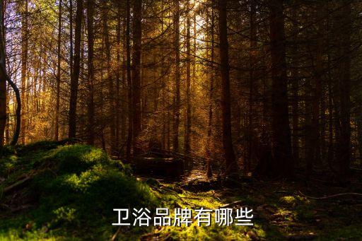  衛(wèi)浴品牌有哪些