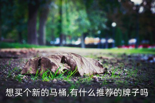 英皇衛(wèi)浴(集團(tuán))控股有限公司,什么牌子的馬桶好?