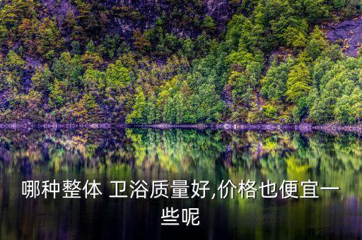哪種整體 衛(wèi)浴質(zhì)量好,價格也便宜一些呢