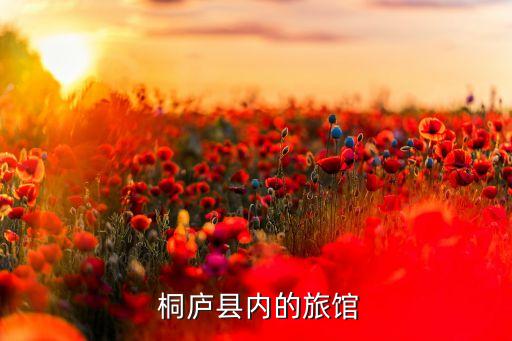 桐廬西都衛(wèi)浴,杭州西湖菜絕對(duì)不會(huì)后悔特色菜有哪些?