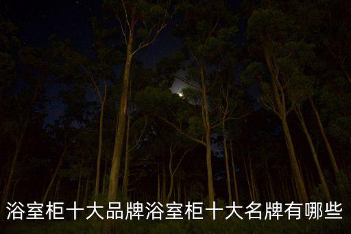 浴室柜十大品牌浴室柜十大名牌有哪些