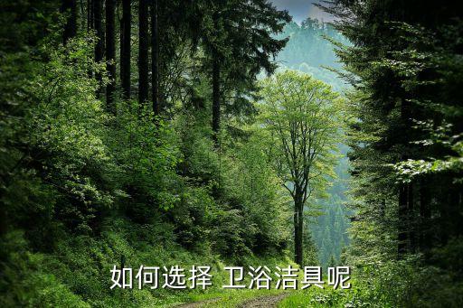 如何選擇 衛(wèi)浴潔具呢