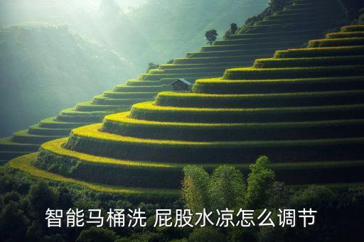 智能馬桶洗 屁股水涼怎么調(diào)節(jié)