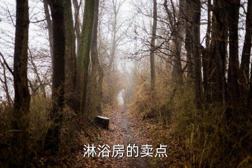 淋浴房的賣點(diǎn)