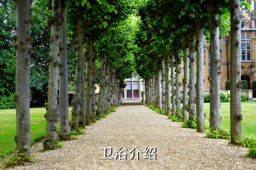 浙江花樂衛(wèi)浴,如何買到安全可靠的衛(wèi)生產(chǎn)品?