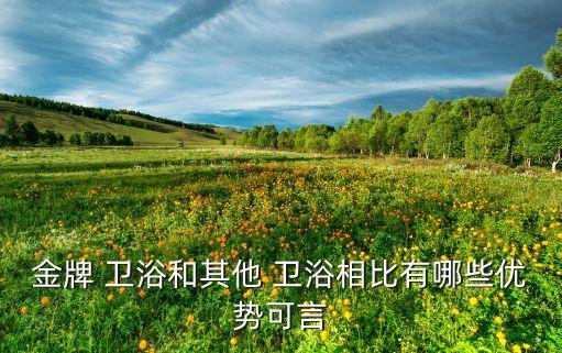 金牌 衛(wèi)浴和其他 衛(wèi)浴相比有哪些優(yōu)勢可言