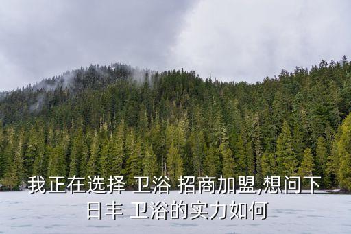 我正在選擇 衛(wèi)浴 招商加盟,想問下日豐 衛(wèi)浴的實力如何