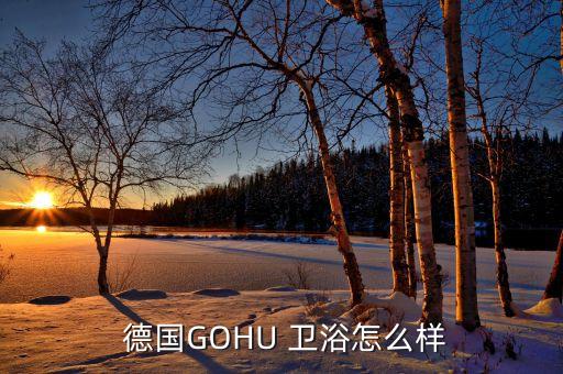 德國衛(wèi)浴的特點,德國不是雜牌一款衛(wèi)浴產(chǎn)品走向世界