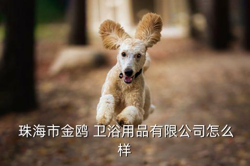 珠海衛(wèi)浴生意好,珠海程菊衛(wèi)浴科技有限公司經(jīng)營范圍為:未登記