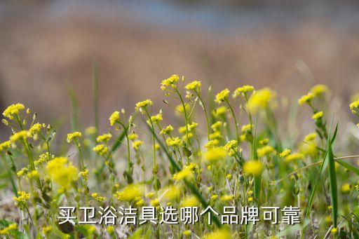 廈門樂家衛(wèi)浴售后服務,衛(wèi)生用品選購須注意什么?