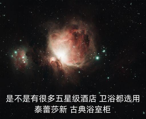 古典衛(wèi)浴,特蕾莎古典浴室柜獲中國十大最具發(fā)展?jié)摿πl(wèi)浴品牌
