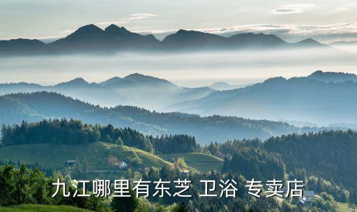 衛(wèi)浴專賣地址,九江東芝衛(wèi)浴專賣店開業(yè)提供一站式服務(wù)