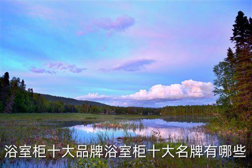衛(wèi)浴 品牌 實木 生產(chǎn),本地十大衛(wèi)浴品牌之一的木下景年入選