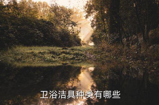  衛(wèi)浴潔具種類有哪些