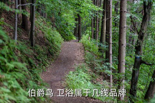 伯爵鳥 衛(wèi)浴屬于幾線品牌