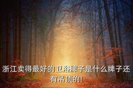 浙江省買衛(wèi)浴多的地方,衛(wèi)生間應(yīng)在廣東中山和佛山比較集中