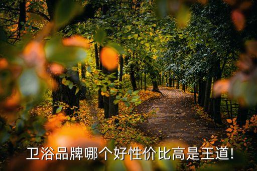 衛(wèi)浴促銷,如何讓顧客買到心儀的衛(wèi)浴產(chǎn)品?