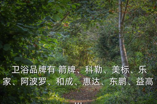  衛(wèi)浴品牌有 箭牌、科勒、美標(biāo)、樂(lè)家、阿波羅、和成、惠達(dá)、東鵬、益高...