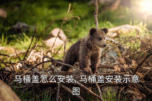 大紅鷹衛(wèi)浴的馬桶視頻,馬桶如何安裝?
