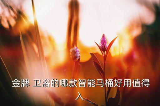  金牌 衛(wèi)浴的哪款智能馬桶好用值得入