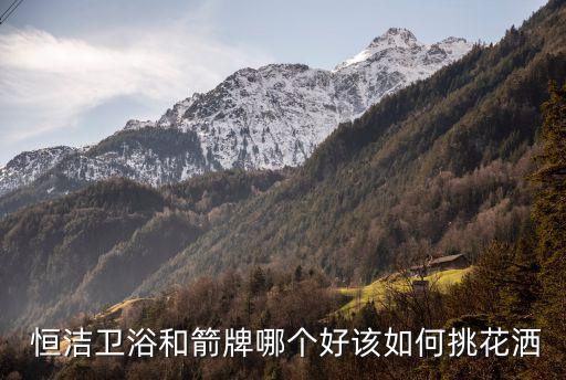  恒潔衛(wèi)浴和箭牌哪個好該如何挑花灑