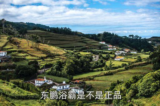 東鵬衛(wèi)浴昆明旗艦店電話,東鵬浴霸質(zhì)量不錯(cuò)成立于1994年