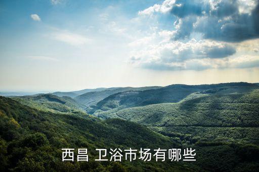 西昌 衛(wèi)浴市場有哪些