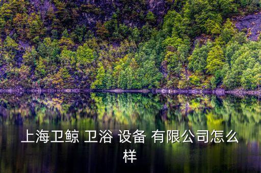 衛(wèi)浴設(shè)備有限公司,上海威晶衛(wèi)浴設(shè)備有限公司更多信息請(qǐng)查看