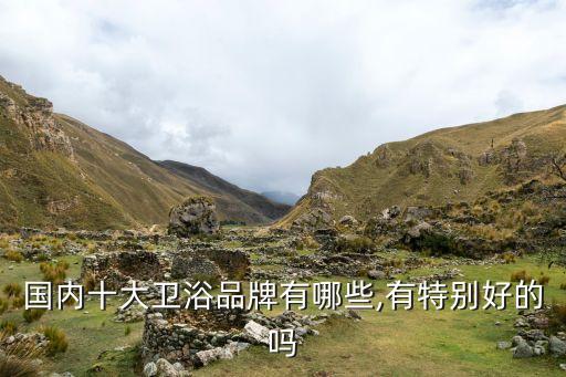 國內十大衛(wèi)浴品牌有哪些,有特別好的嗎