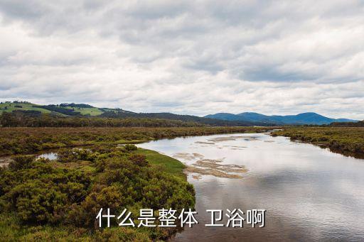 單元衛(wèi)浴,組裝式整體衛(wèi)浴由防水底盤和墻板組成