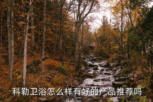  科勒衛(wèi)浴怎么樣有好的產(chǎn)品推薦嗎