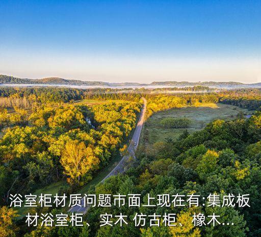 仿古實木有衛(wèi)浴柜,關于實木浴室柜你必須知道的事兒