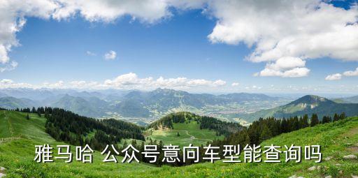 雅馬哈 公眾號意向車型能查詢嗎