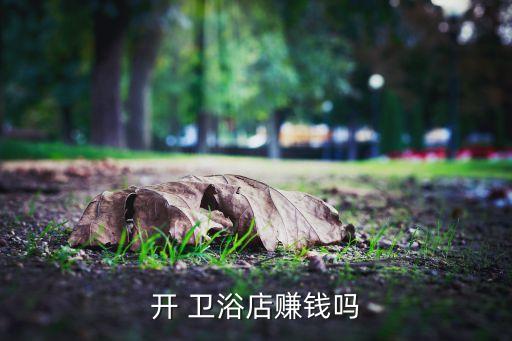 開 衛(wèi)浴店賺錢嗎