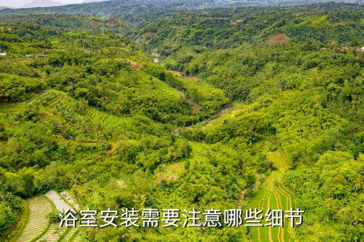 順利衛(wèi)浴,如何安裝浴室夾?注意事項(xiàng)有很多!
