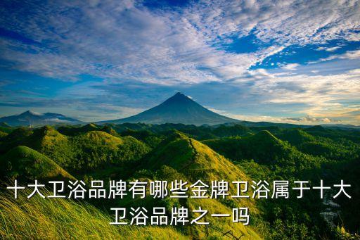 金衛(wèi)浴,十大衛(wèi)浴品牌之一金牌衛(wèi)浴優(yōu)勢:顏值不輸名牌