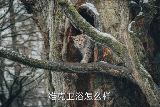 澳維絲衛(wèi)浴官網(wǎng),vic衛(wèi)浴不是所有廠家都有?可以去看看實(shí)物