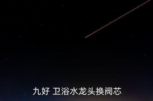  九好 衛(wèi)浴水龍頭換閥芯