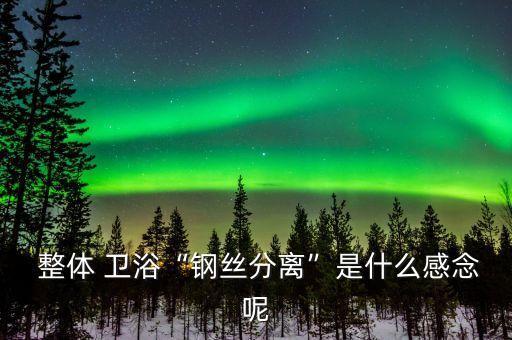 遠(yuǎn)鈴整體衛(wèi)浴,1和日本整體衛(wèi)浴做得比較好