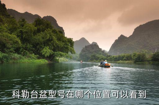 科勒衛(wèi)浴水盆,科勒發(fā)展中國市場已成為其全球戰(zhàn)略重要組成部分