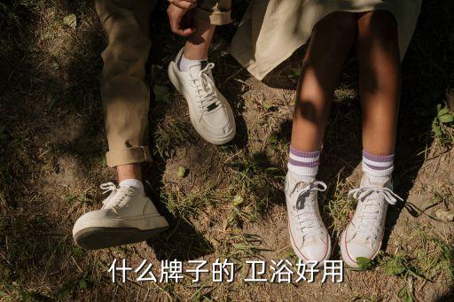 什么牌子的 衛(wèi)浴好用