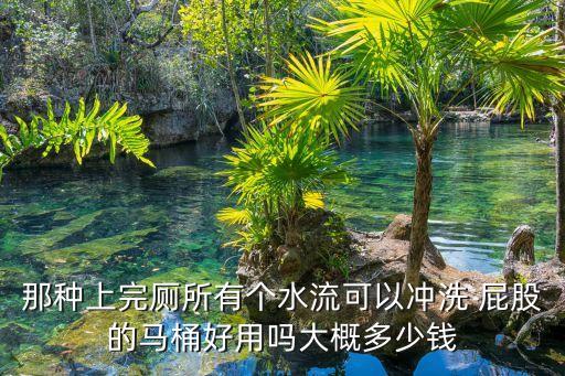 衛(wèi)浴 洗屁股,智能馬桶采用無水箱設計保持優(yōu)質功能