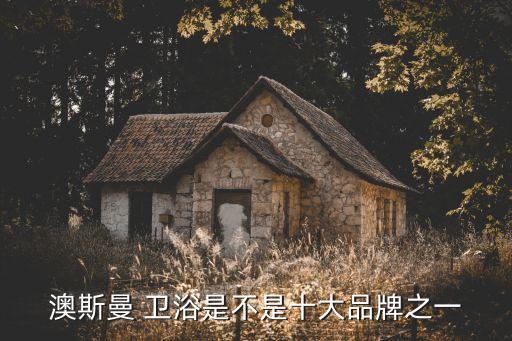 澳斯曼 衛(wèi)浴是不是十大品牌之一
