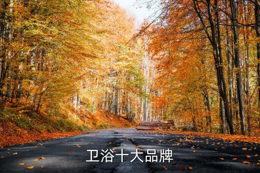 衛(wèi)浴十大品牌