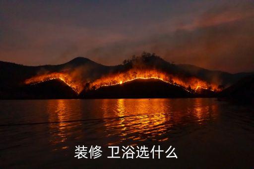 裝修 衛(wèi)浴選什么