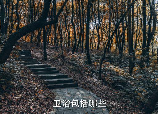  衛(wèi)浴包括哪些